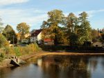Tharandter Wald