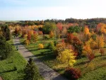 Forstbotanische Garten in Tharandt