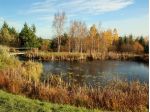 LSG Tharandter Wald in Sachsen