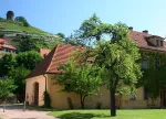 Weinmuseum Hoflößnitz in Radebeul 