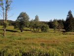 Böhmerwald in Südböhmen