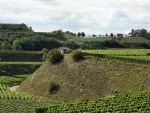 Kaiserstuhl - beliebtes Wanderziel
