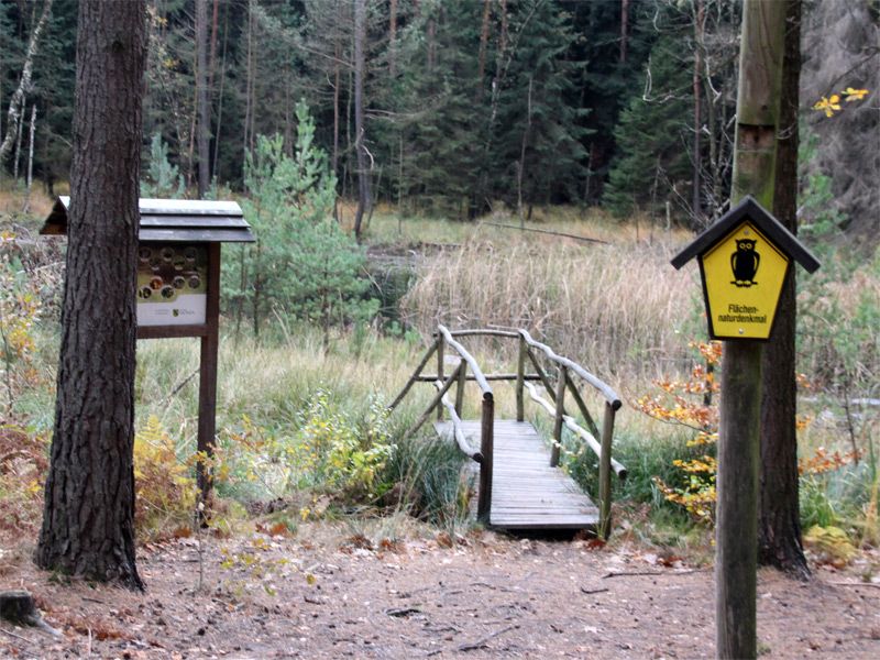 Dresdner Heide