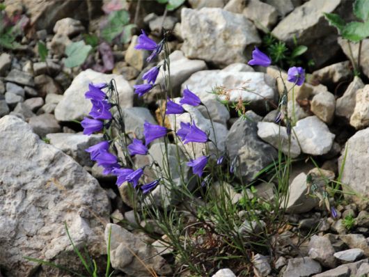Urlaubsregion Tatra