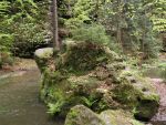 Wandern im Polenztal