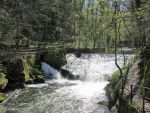 Liebethaler Grund 